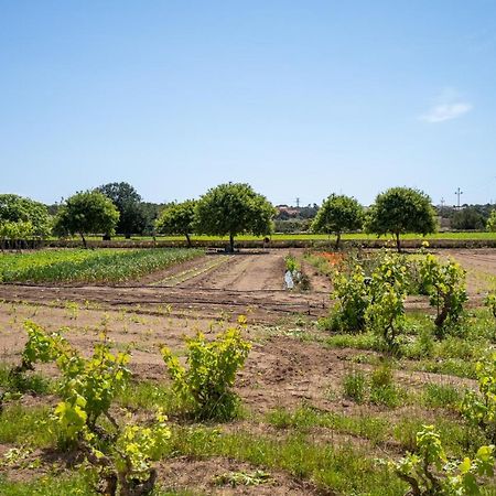 Apartamentos Marcelino - Formentera Break 埃斯普霍斯 外观 照片