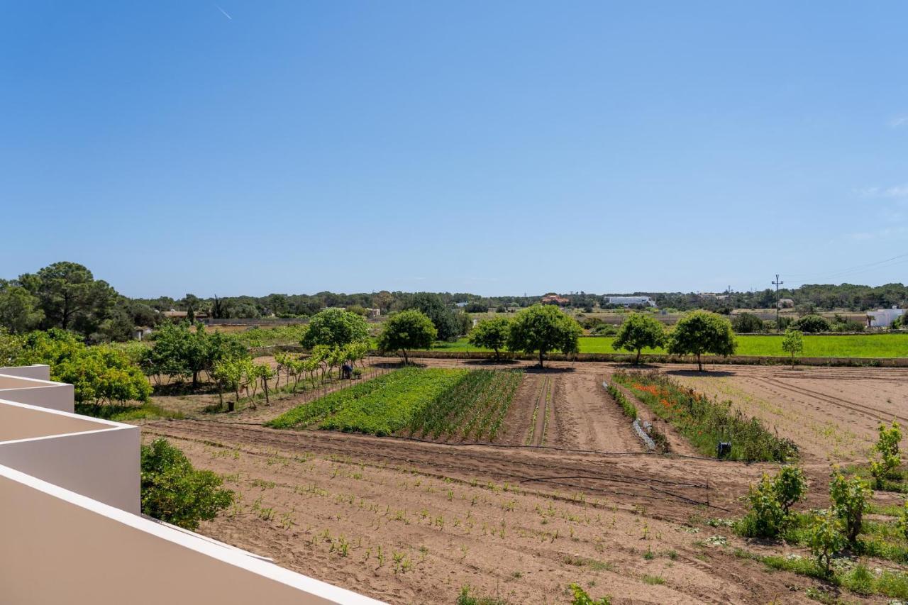 Apartamentos Marcelino - Formentera Break 埃斯普霍斯 外观 照片