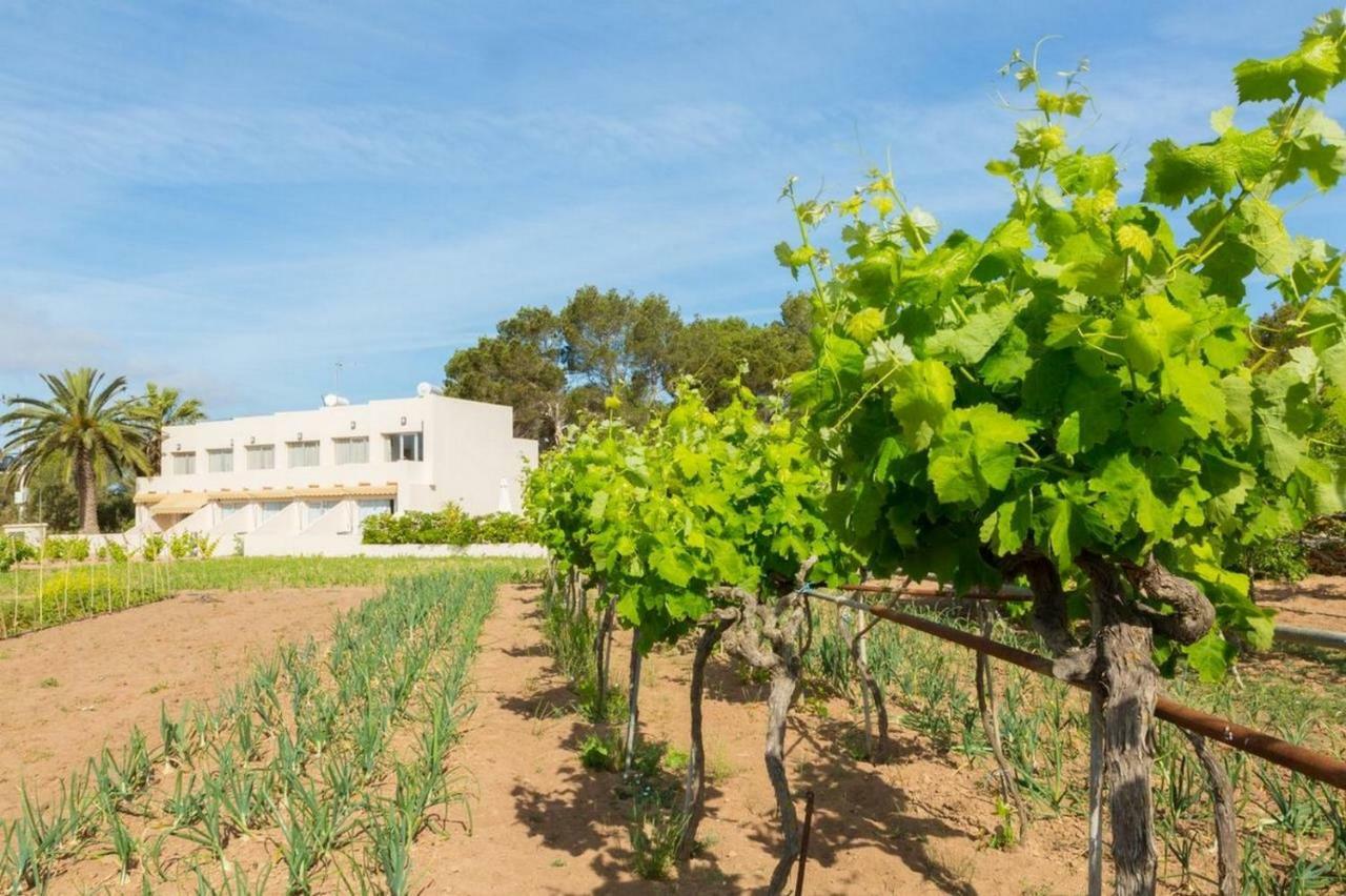 Apartamentos Marcelino - Formentera Break 埃斯普霍斯 外观 照片